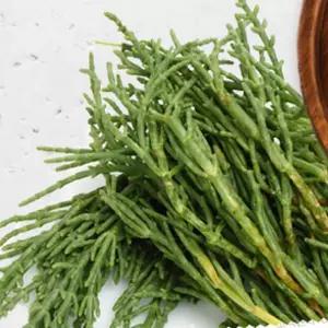 함초건강즙 국산염생식물 건강식품 천연원료 영양보충