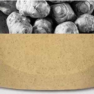 온담고돼지감자환 여주환200g 기능성식품 여주환