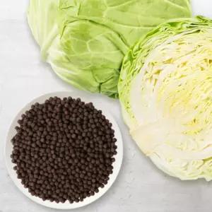 건강관리용 국산양배추환300g 제주산청정지역 건강 식품