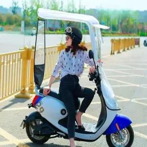 시니어 전동휠체어 캐노피 4륜 비막이 차양막 햇빛차단 어르신 전동스쿠터 지붕