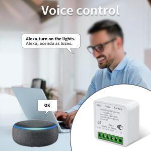 조명용 호환  스마트 WiFi 스위치 RF 433MHz 무선 라이프 APP 음성 제어 Alexa Google Home Alice 호환