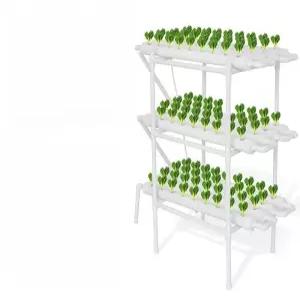 수경재배기 만들기 베란다 식물 양배추 재배기 텃밭 가정용 재배 딸기 상추키우기