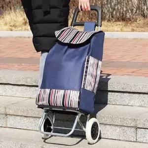 [골드스마일]쇼핑 카트 접이식 카트 가볍고 폴딩 편리한쇼핑 가정용 휴대용