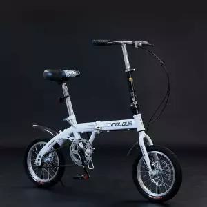 미니벨로 티티카카 자전거 20인치 초경량 번 휴대용