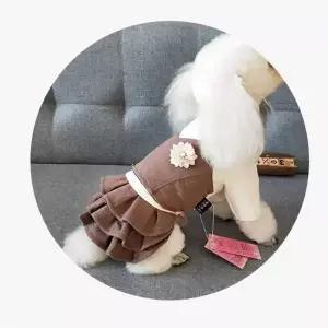 [콩심팥심]TBZ OH 플라워브로치 반려동물 평상복