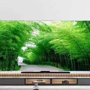 티비 가리개 TV 커버 가림막 먼지차단 인테리어