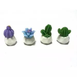장식 선인장화분 화분 다육 4종류 꾸미기 테라리움