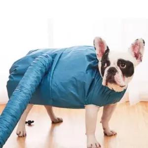 강아지드라이 드라이 가운 건조복 건조 기능성 강아지 드라이복 후 목욕 빠른 펫