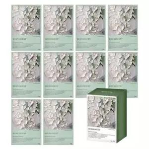 보네센트 옷장 방향제 2.5g 10개 가드니아 블랑 순수한 화이트플로럴 향