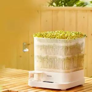 콩나물 키우기 자동물주기 시루 기계 대용량 새싹 이층