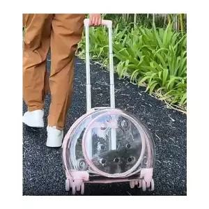 반려동물 펫티켓 강아지 이동장 가방 투명 캐리어 DP137054