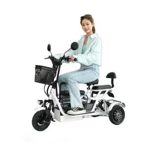 전동차 삼륜오토바이 전동 스쿠터 경량 (1)