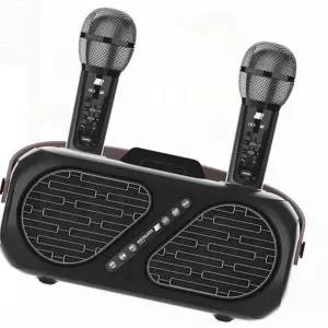 듀얼 무선 마이크 가정용 노래방 블루투스 스피커