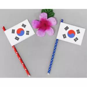 5인용 미니 태극기 깃발 피리만들기 경기응원 현충일 체험학습 어린이집 단체만들기