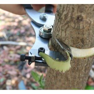 원예 나무껍질박 필링기 환상박피 커터 싱글링 장비 레드 포도 껍질용 대패