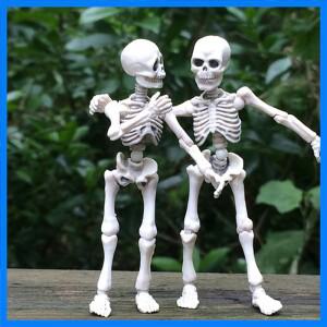Mr. Bones 해골 인체 모델, 해골 전신 미니 피규어 장난감, 할로윈 F29 20, 직송