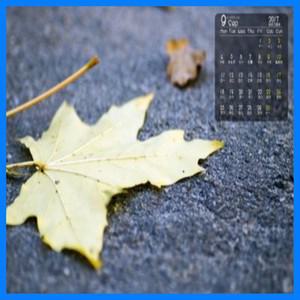 자동차 엔진 방음 단열재 혼다 시티 2015-2019용 패드 차량 내부 액세서리