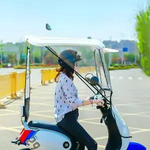 캐노피 전동차 노인용 비가림막 지붕 햇빛차단 시니어 햇빛가리개 방수 사륜 차양막 커버