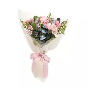 제이스플라워랩 카네이션 꽃다발 A TYPE 코스트코