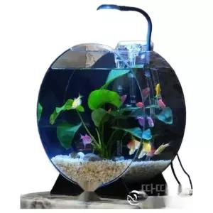 아크릴어항 사무실 책상 거실 수조 금붕어 반수생 원형 오픈형 수족관 어항 열대어 물고기