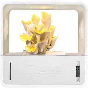 자동 습도 조절 기능이 있는 크라운우 버섯 재배 텐트 실내 상자 온도 표시 스마트 모노튜브 키트 재배자를