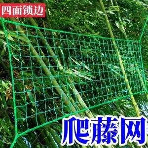 넝쿨망 그물망 농사용 그물망사 식물 지지대 네트 유인 원예 호박 덩굴식물