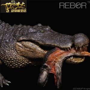 데이노수쿠스 대형 컬렉션 공룡 버전 수컷 동물 다이 트 피규어 모형 선사시대