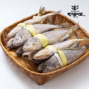 외모보다 맛굴비 실속 파굴비 20미 1.5kg/가정용