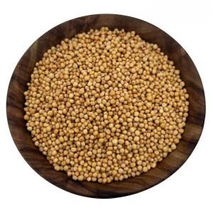 생 에센셜 인도산 옐로우 머스타드 씨앗 u2013 제스티, 피클링을 위한 견과류 맛, 홈메이드 머스타드, 카레 & 마리네이드 u2013 Non GMO, 텐 프리, , 팔레오 u2013 24온스