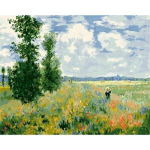 MEECAA 숫자로 색칠하기 양귀비 풍경 키트 DIY 없음) (양귀비 초보자 유화 프레임 50.8CM(16 X 40.6 20인치) 밭,