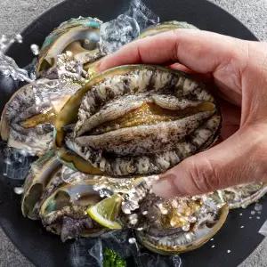 완도산 활 전복 1kg 9미-10미