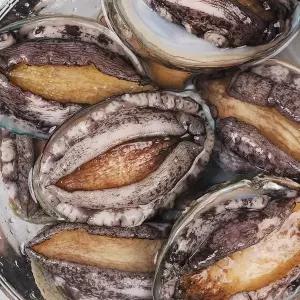 [NS홈쇼핑]완도 활전복 1kg 11-12미[35762324]