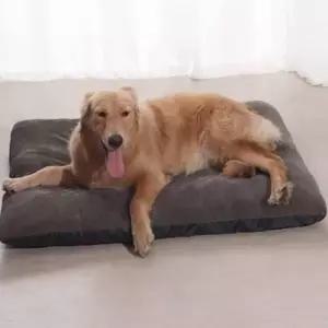 [반려] 강아지방석 침대 벨벳 매트 3XL 강아지침구 펫쿠션