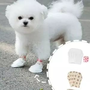 일회용 강아지 신발 산책 강아지 양말 애견 발싸개 위생 YaL2+7HPQ