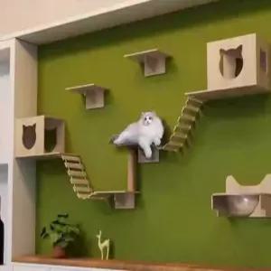 트렌드부스 고양이벽선반 원목캣타워 등반 캡슐 가구보드