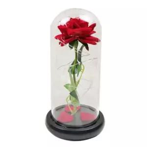 DK-SJ LED 장미 선물 졸업식 입학식 꽃다발 HUr3+5ACg