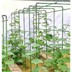 포도나무 지지대 오이 받침대 덩굴 원예 호박 토마토 하우스 직경(60X0X0)