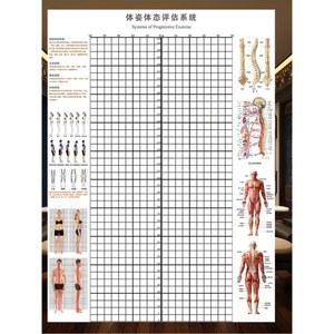 체형 스크린 테스 보정 분석 블라인드 체형스크린 격자 신체표 체크 체형측정 70