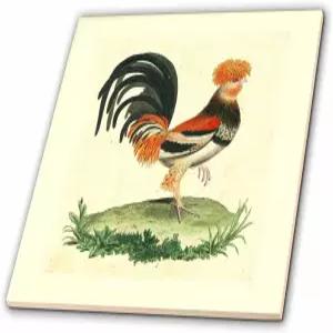 3dRose ct_62339_1 1770 프렌치 빈티지 루스터 프린트 세라믹 타일 4인치