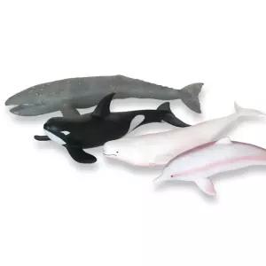 핑크돌고래 벨루가 귀신고래 범고래 (택1) 모형 완구 NhG7+3NVl