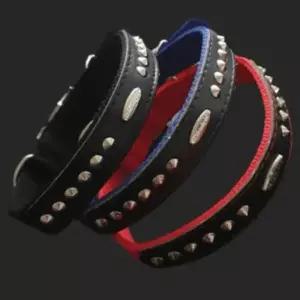 [반려] 개 목줄 25mm 60cm 파랑 튼튼한개목줄 강아지산책목줄