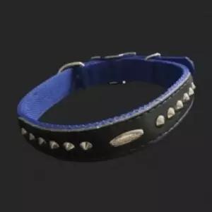 [반려] PP 개목줄 20mm 51cm 파랑 강아지산책목줄 강아지줄