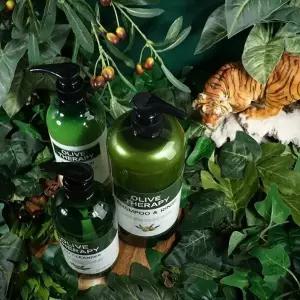 [에스에스62]바디워시1 헤어샴푸1+바디워시1+바디로션1