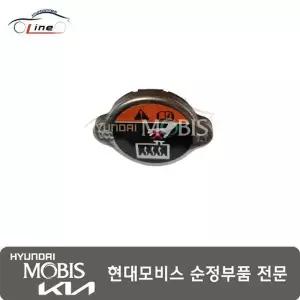 [현대모비스]캡 라디에이터 25330 G8000
