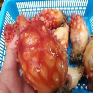 산지직송 제철 활멍게 깐멍게 깐멍게 500g