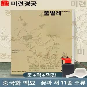 색칠북 따리기 꽃책 컬러링북 취미 수묵화 드로잉 어르신 색칠하기 그리기 교구 꽃과