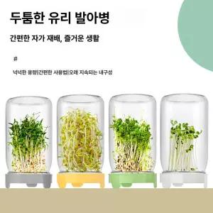 셀렉트하루 집에서콩나물키우기 콩나물재배기 재배기