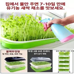 셀렉트하루 집에서콩나물키우기 콩나물 재배기