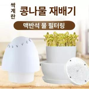 셀렉트하루 집에서콩나물키우기 키트 콩나물재배기