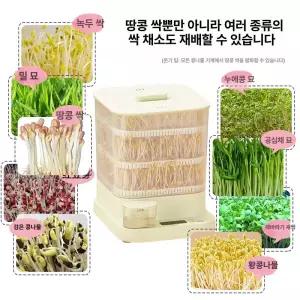 셀렉트하루 집에서콩나물키우기 콩나물재배기 키트